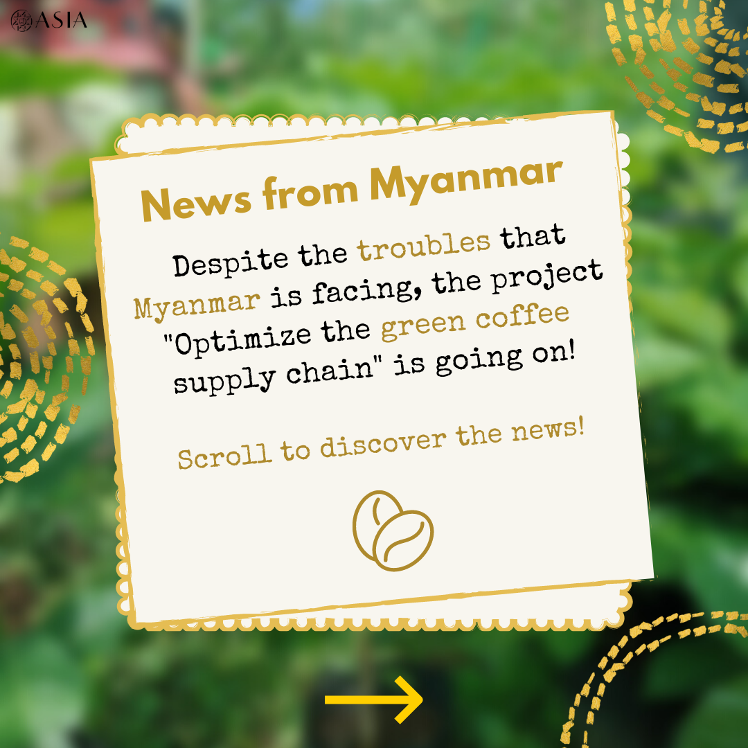 myanmar green coffe ENG (1)
