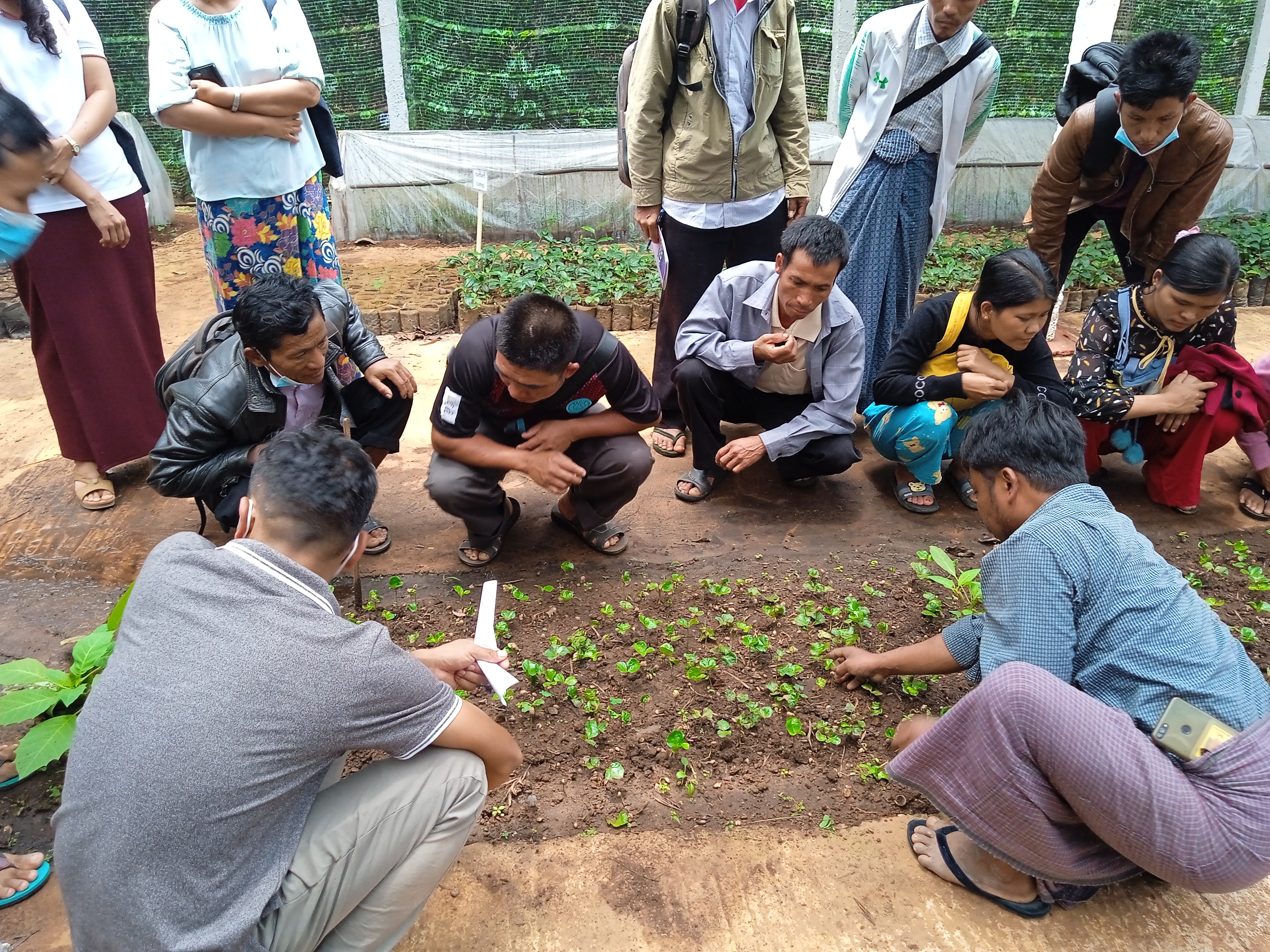 smart-agriculture-myanmar